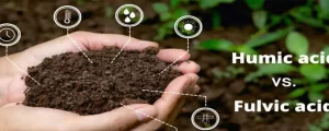 How Humic and Fulvic Acid Can Improve Soil Health and Plant Growth