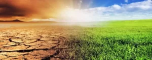 The Impact of Climate Change on Agriculture and Food Security